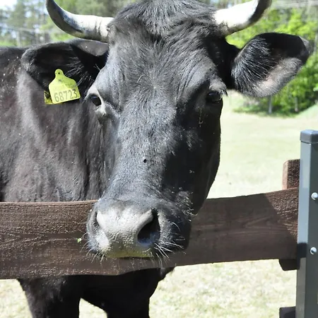 Osada Grzybowski Mlyn Z Duzym Ogrodem Kaiserowka * Grzybowo (Pomerania)
