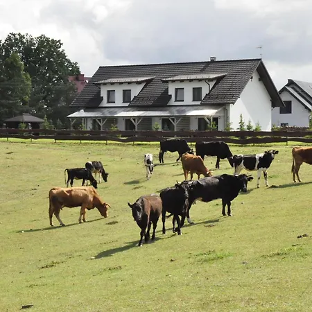 Osada Grzybowski Mlyn Z Duzym Ogrodem Kaiserowka *