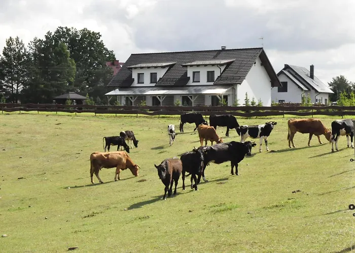 Osada Grzybowski Mlyn Z Duzym Ogrodem Kaiserowka *
